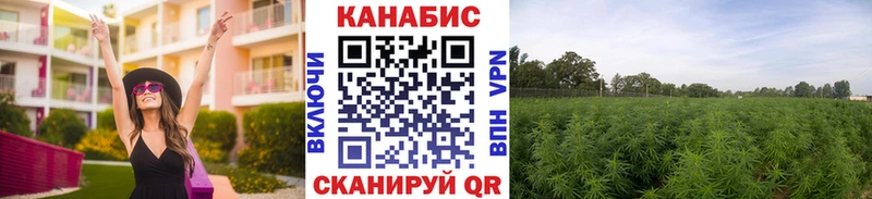 Все наркотики Губкинский Альфа ПВП  Псилоцибиновые грибы  Бошки Шишки  Кокаин  Мефедрон  АМФ 