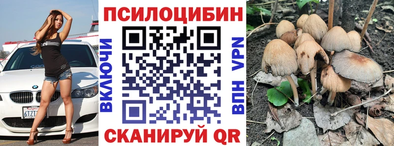 где можно купить   Губкинский  Галлюциногенные грибы Cubensis 