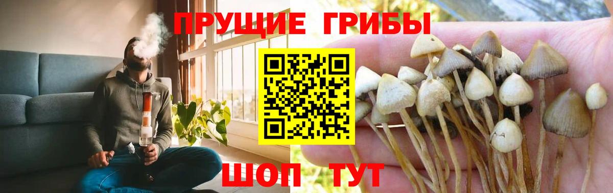 Галлюциногенные грибы прущие грибы  Вход с VPN  Губкинский 