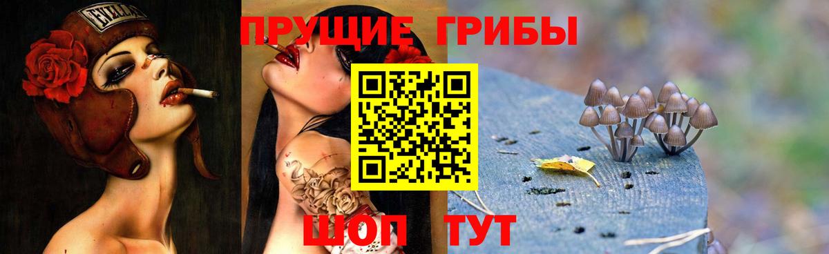 Псилоцибиновые грибы GOLDEN TEACHER Губкинский